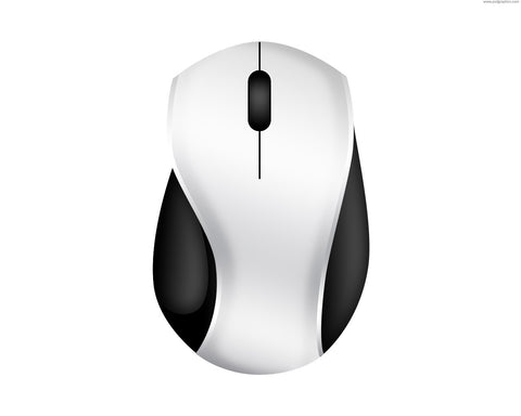 Computer Mouse